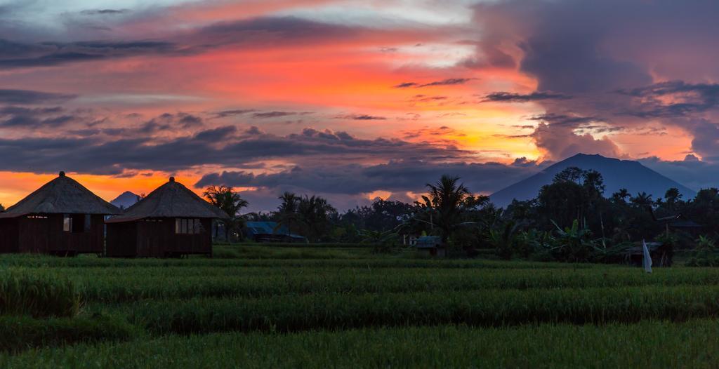 Solo Villas & Retreat Ubud  Bagian luar foto