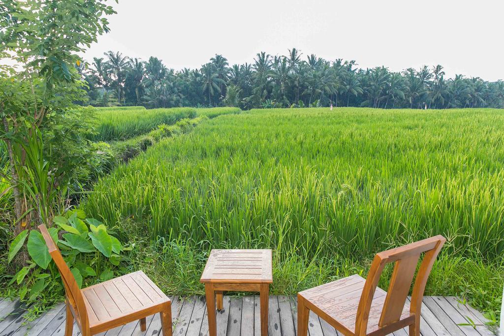 Solo Villas & Retreat Ubud  Bagian luar foto