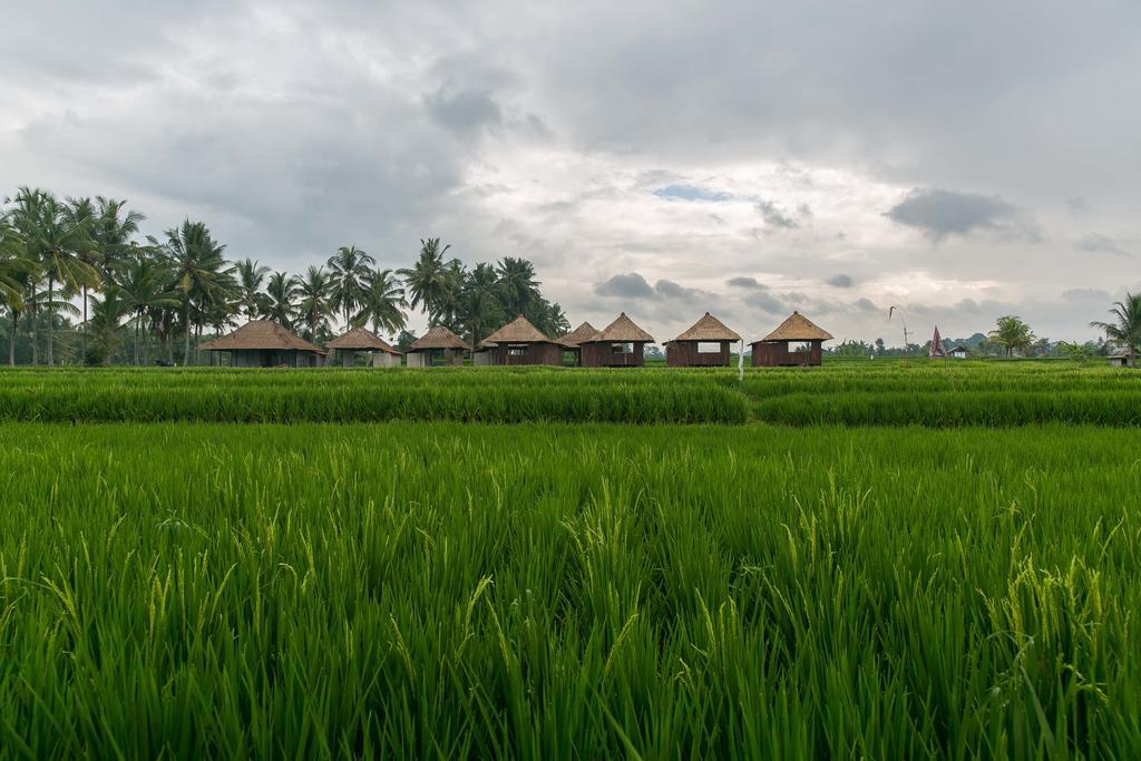 Solo Villas & Retreat Ubud  Bagian luar foto
